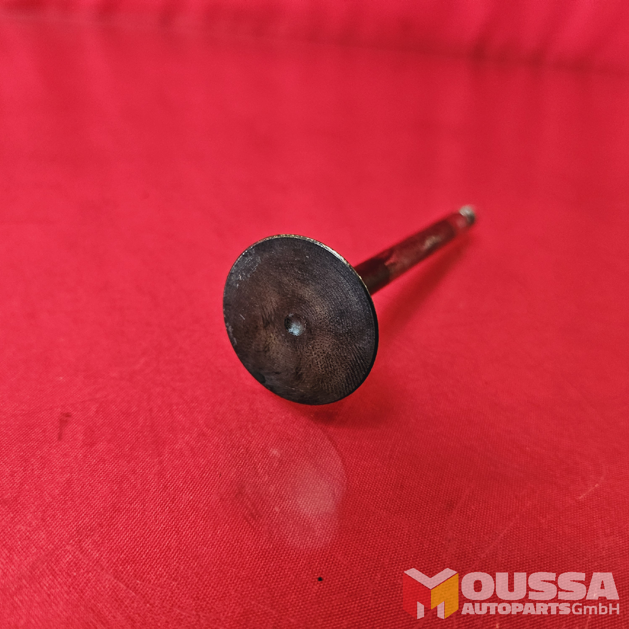 MOUSSA-AUTOPARTS-667d70e990c28.jpg