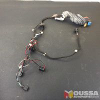 Door wiring harness
