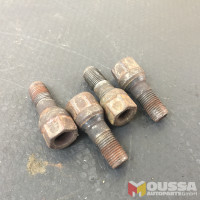 Wheel bolt wheel screws