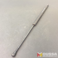 Tailgate hinge boot strut
