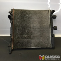 Radiator water coolant