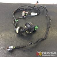 Door electric wire