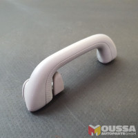 Grab handle with hook