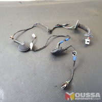 Door harness wire