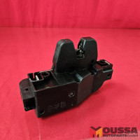 Tailgate lock lid lock