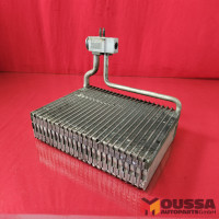 Air Evaporator
