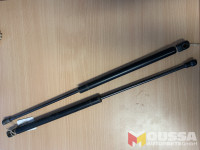 Tailgate strut set