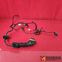 Door electric wiring