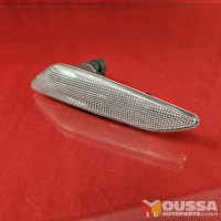 Wing mirror indicator light