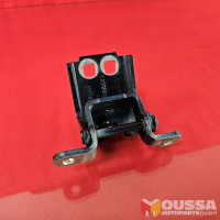 Door Hinge