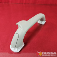 Grab handle