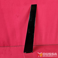 Door shaft strip molding