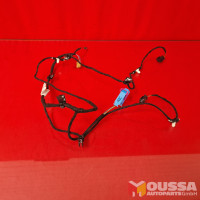 Wiring harness door panel