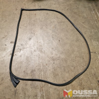 Door outer seal