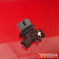 Tailgate lock lid lock