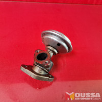 AGR exhaust gas recirculation valve