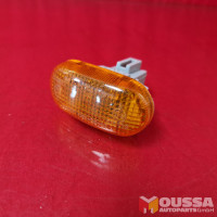Side Turn Signal