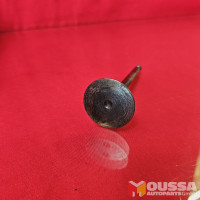 Exhaust valve