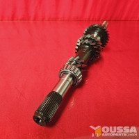 Input gear shaft