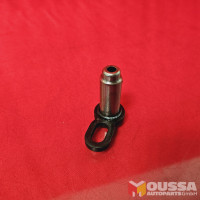 Gearbox mounting pin