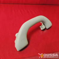 Roof grab handle