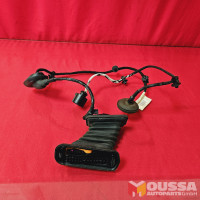 Door wiring loom harness set