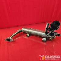 Exhaust Gas Recirculation Cooler