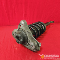 Shock absorber with spring