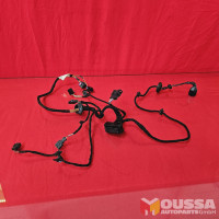 Door wiring loom