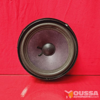 Speaker door speaker