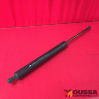 Tailgate hinge gas pressure strut