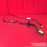 Door electric wiring loom