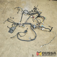 Engine wiring harness