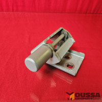 Door lower hinge 