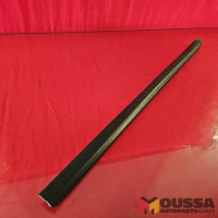 Weatherstrip door