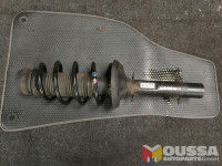 Shock absorber spring