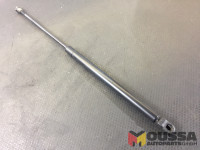 Set of 2 tailgate struts