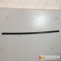 Door seal trim